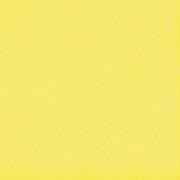 Flexi A Yellow Bri (п.п.) ZZ |30x30