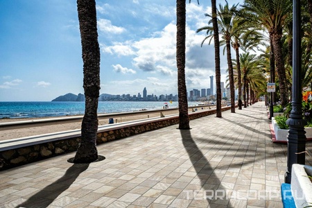 Коллекция Trail18