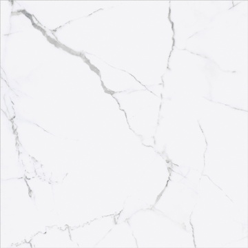 Iceberg Blanco ZZ |75x75