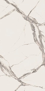 Calacatta Statuario D Lap ХХ |160x320
