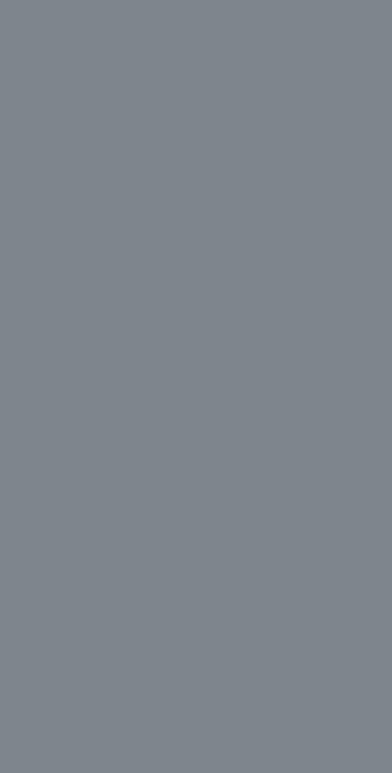 Радуга серый светлый обрезной гр. 60*119,5| ZZ товар