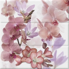 Comp. Orchides Berenjena XX |45x45