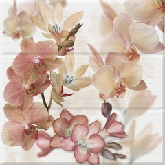 Comp. Orchides Marron XX |45x45