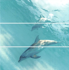 Панно Искья Дельфины (из 3-х частей 25х75)XX|75х75